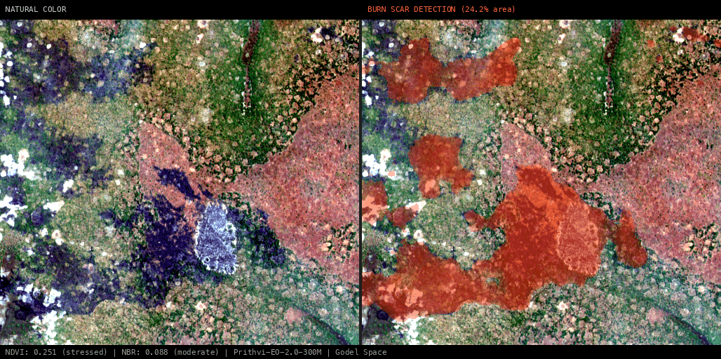 ML analysis for Green forest fire notification in Zambia