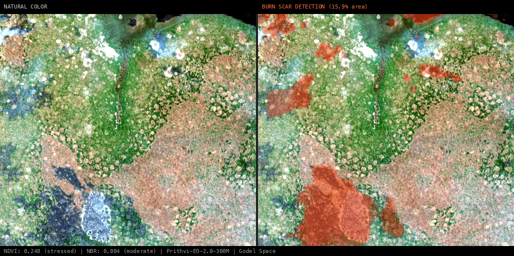 ML analysis for Green forest fire notification in Zambia