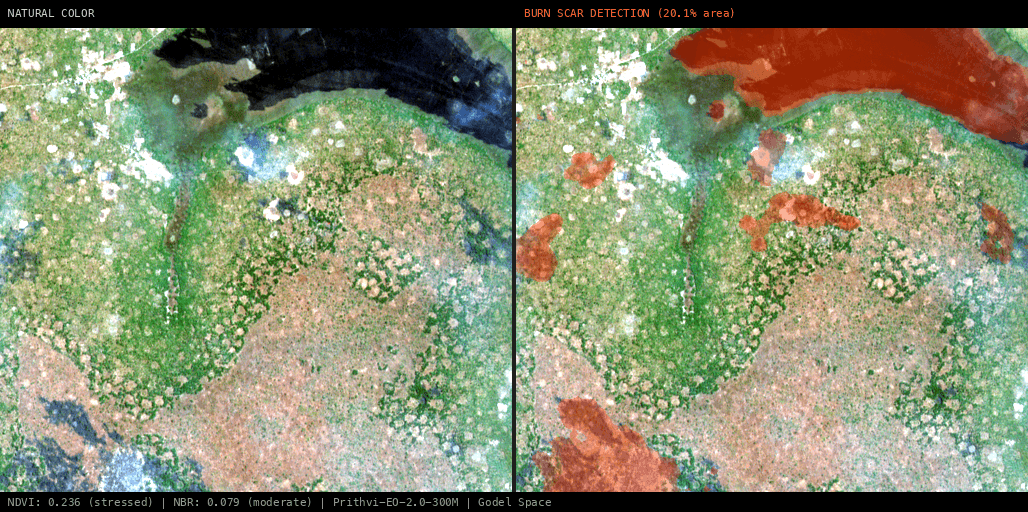 ML analysis for Green forest fire notification in Zambia