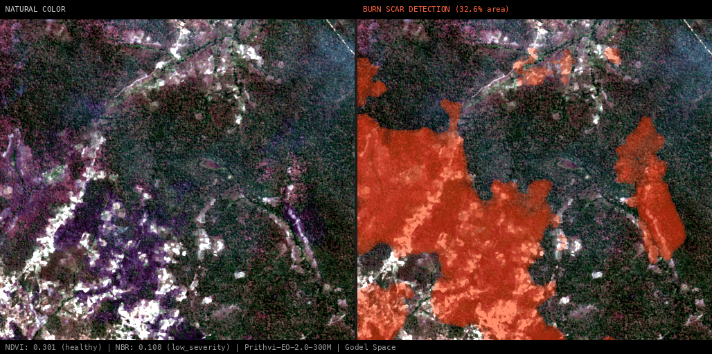 ML analysis for Green forest fire notification in Mozambique