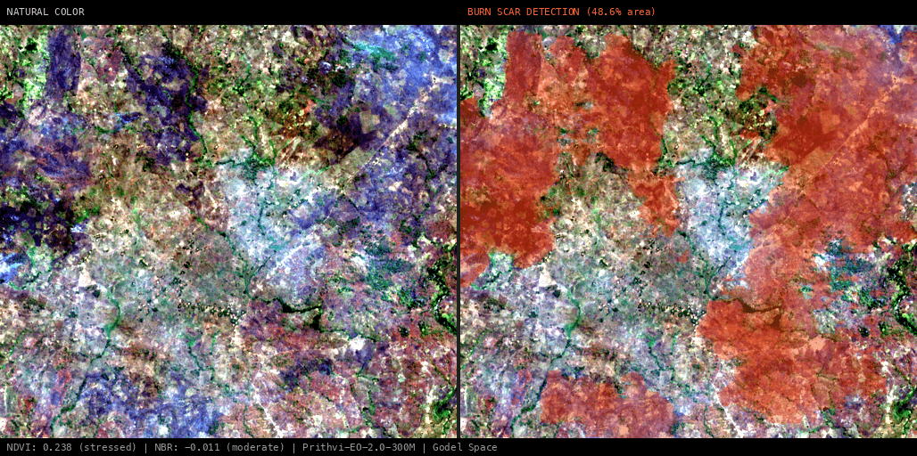 ML analysis for Green forest fire notification in Mozambique