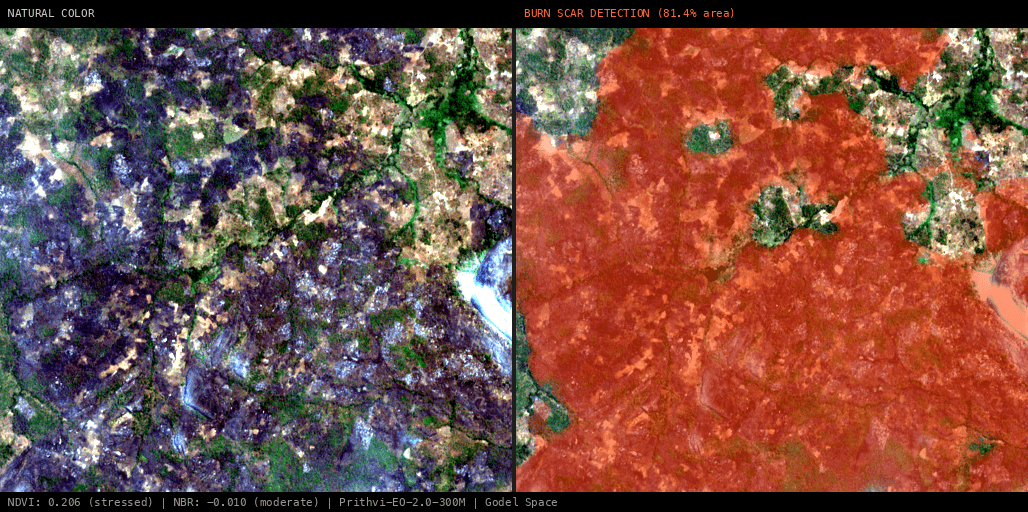 ML analysis for Green forest fire notification in Mozambique